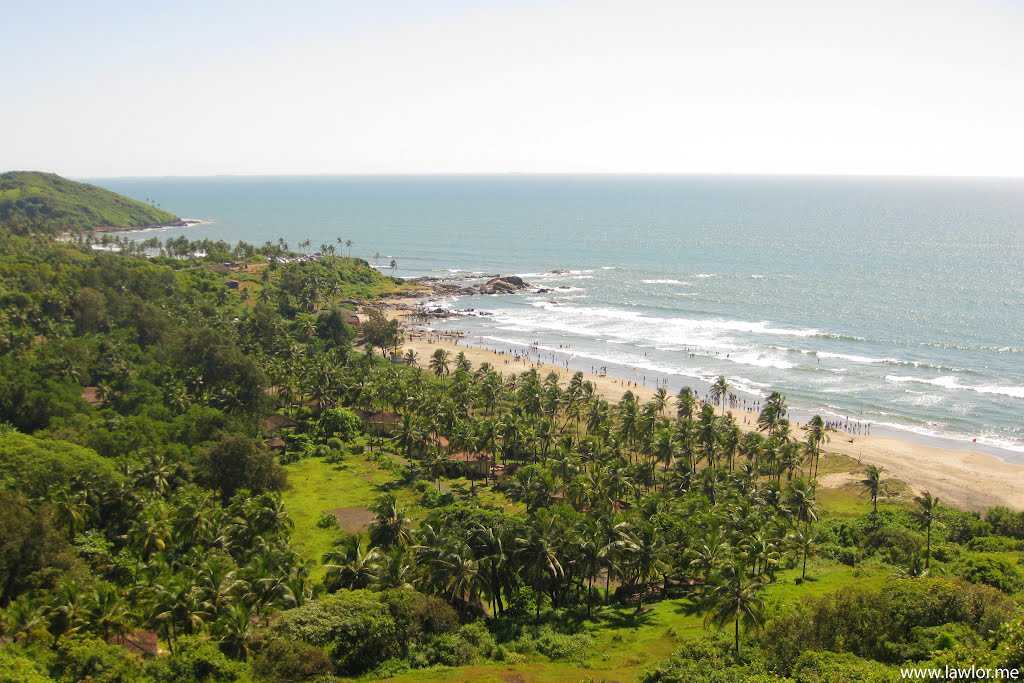 Chapora Fort